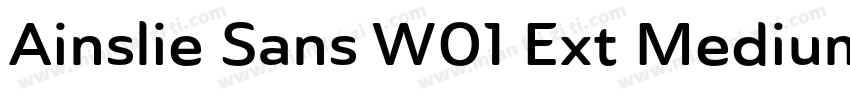 Ainslie Sans W01 Ext Medium字体转换